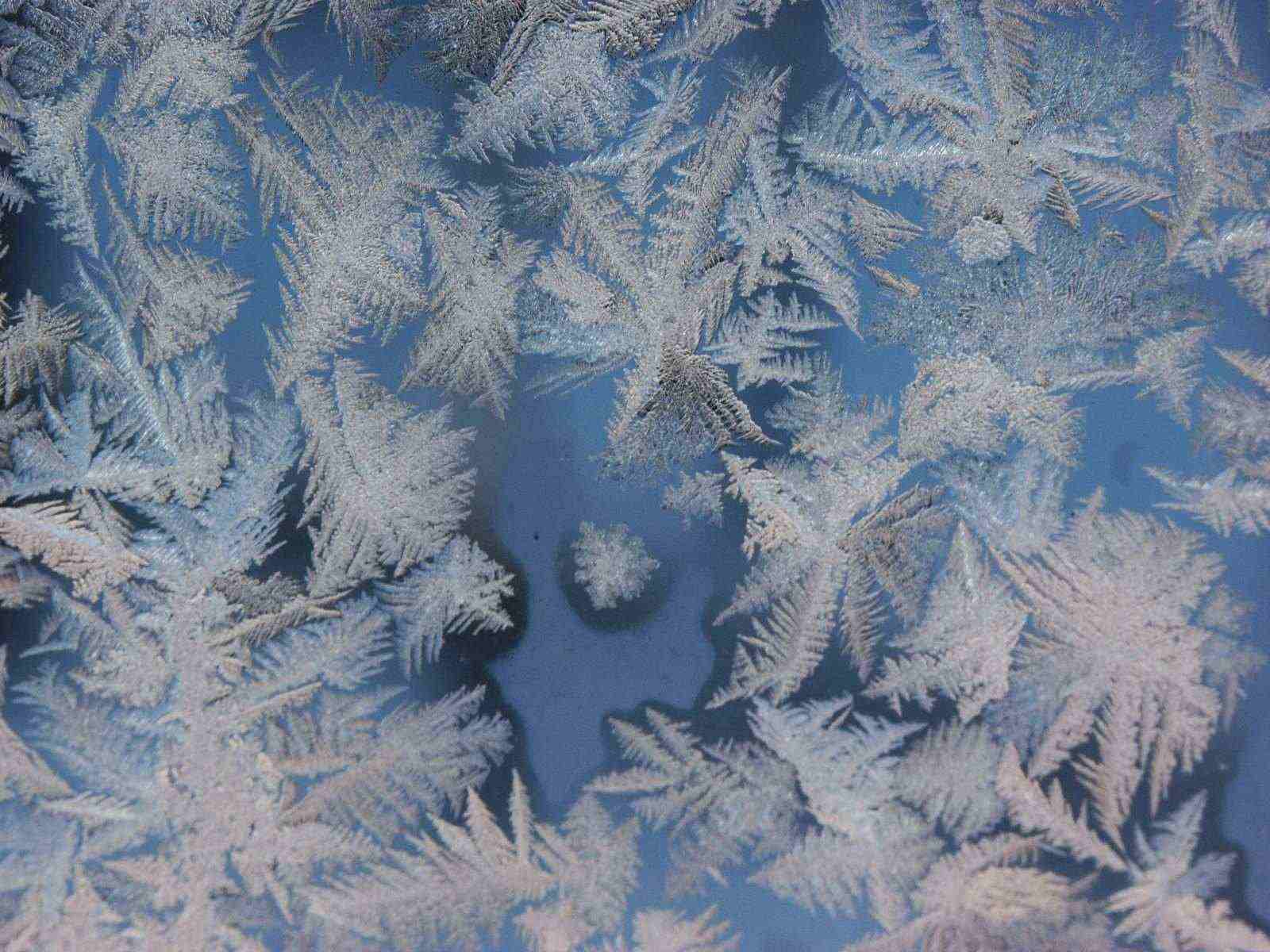 Снежинки на окне от Мороза